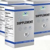 gvpmuscle1