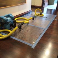 woodfloordrying