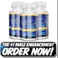 megarisemax1