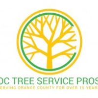treeserviceinoc