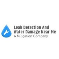 leakdetection