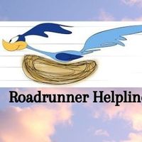 roadrunner8295