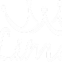 limousineking