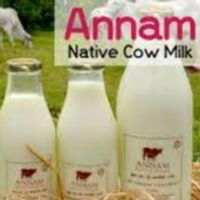 Annammilk