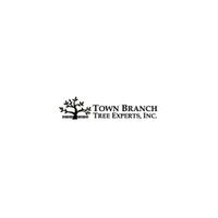 townbranchtree