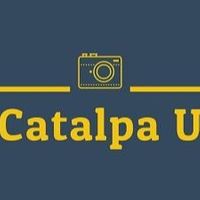 catalpau