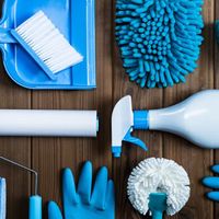 CLeanToilet