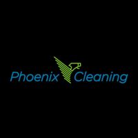 phoenixcleaning3