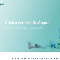vetcapua