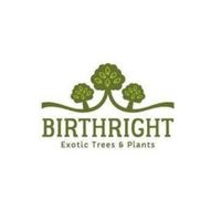birthrightforall