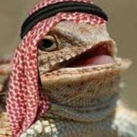hajigober